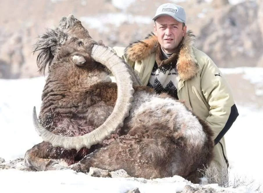 Pakistan hunting species gallery image 4